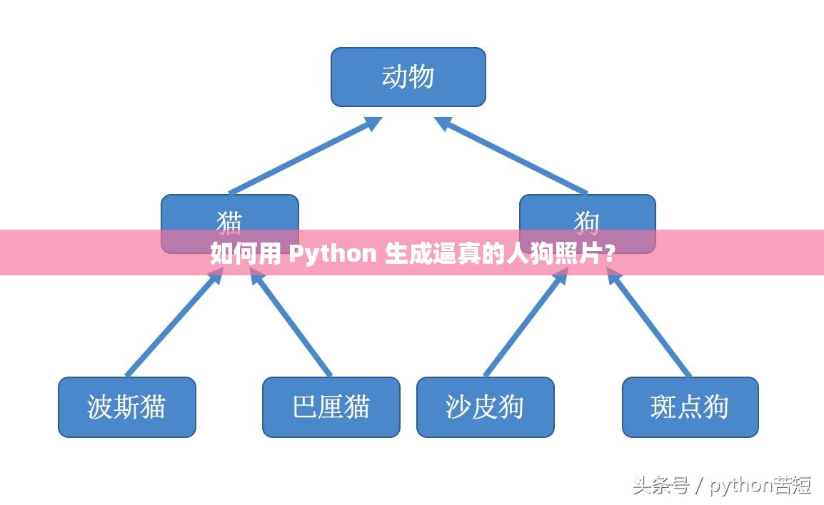 如何用 Python 生成逼真的人狗照片？