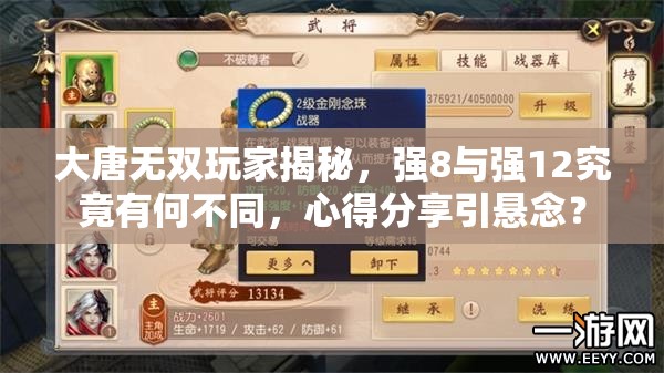 大唐无双玩家揭秘，强8与强12究竟有何不同，心得分享引悬念？