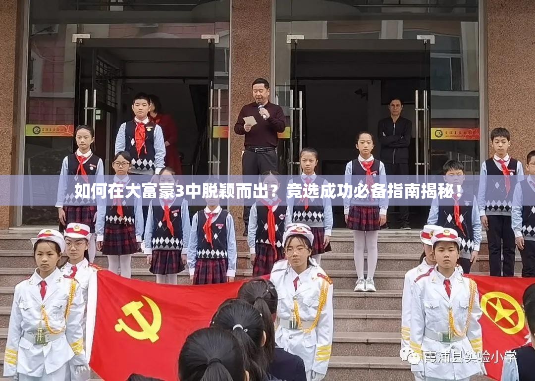 如何在大富豪3中脱颖而出？竞选成功必备指南揭秘！