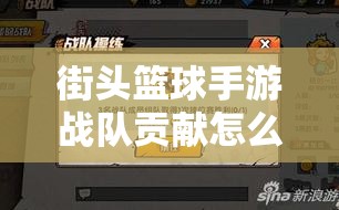 街头篮球手游战队贡献怎么用最划算？贡献兑换物品全攻略揭秘