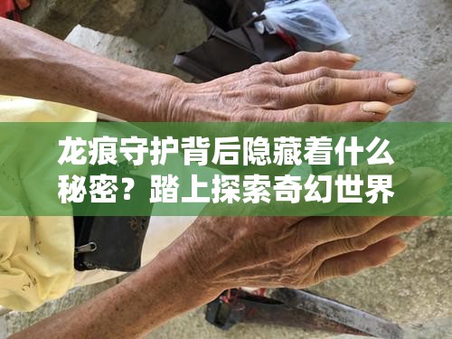 龙痕守护背后隐藏着什么秘密？踏上探索奇幻世界的动作之旅