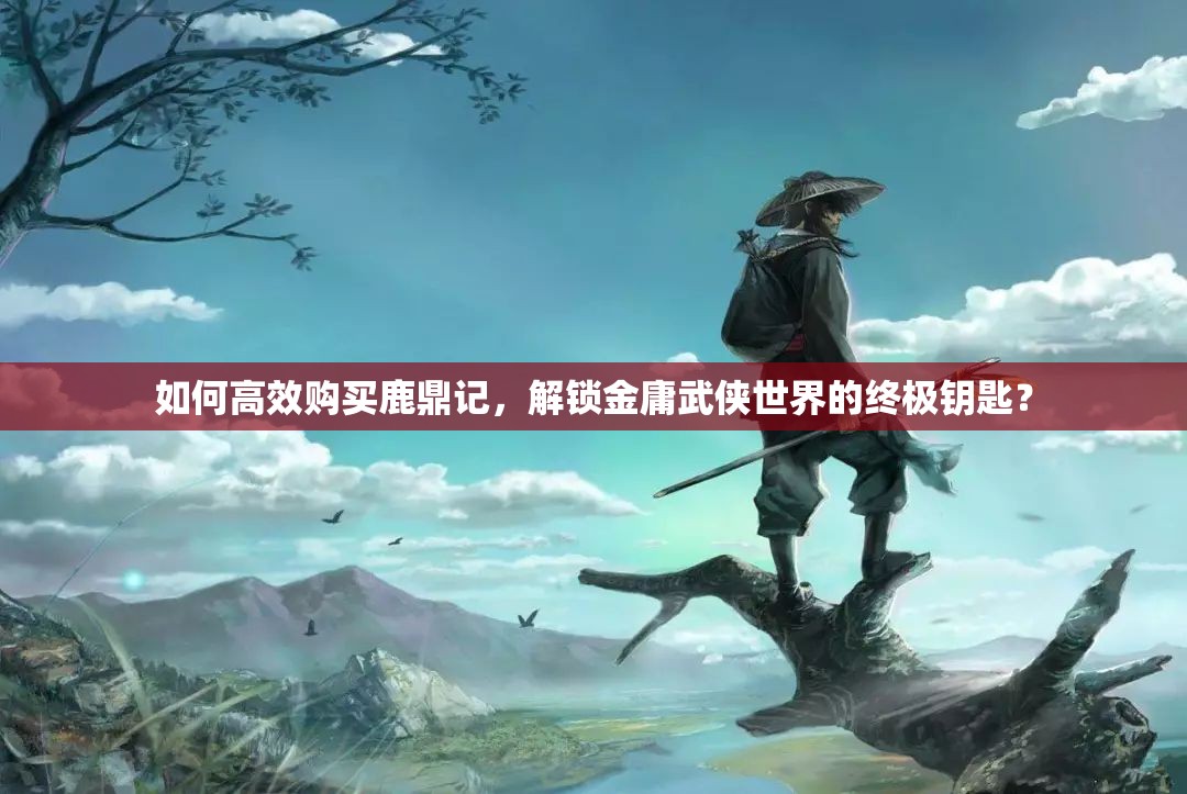 如何高效购买鹿鼎记，解锁金庸武侠世界的终极钥匙？