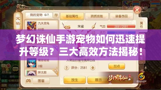 梦幻诛仙手游宠物如何迅速提升等级？三大高效方法揭秘！
