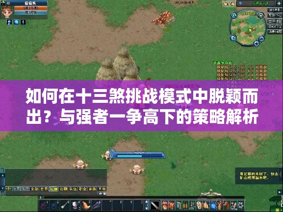 如何在十三煞挑战模式中脱颖而出？与强者一争高下的策略解析