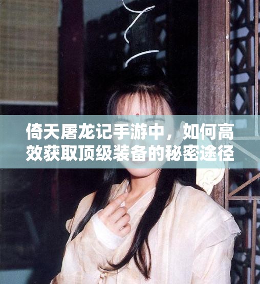 倚天屠龙记手游中，如何高效获取顶级装备的秘密途径？