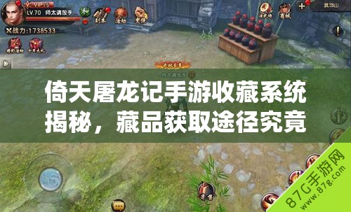 倚天屠龙记手游收藏系统揭秘，藏品获取途径究竟有哪些？