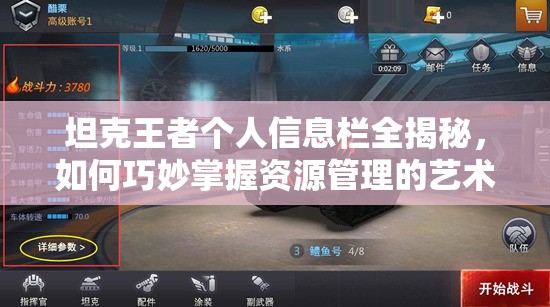 坦克王者个人信息栏全揭秘，如何巧妙掌握资源管理的艺术？