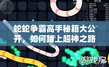 蛇蛇争霸高手秘籍大公开，如何踏上超神之路你知道吗？