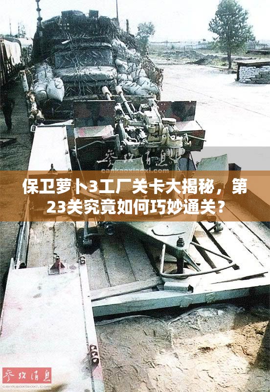 保卫萝卜3工厂关卡大揭秘，第23关究竟如何巧妙通关？