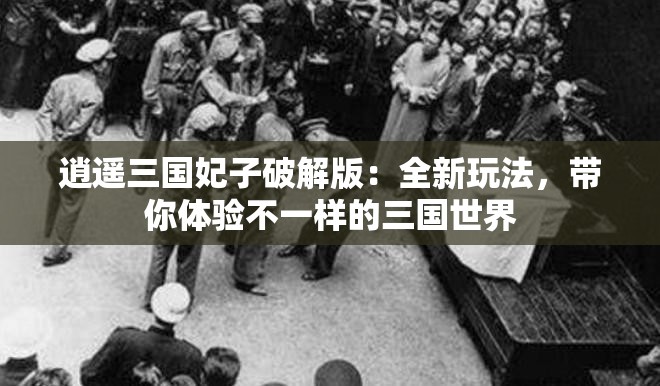 逍遥三国妃子破解版：全新玩法，带你体验不一样的三国世界