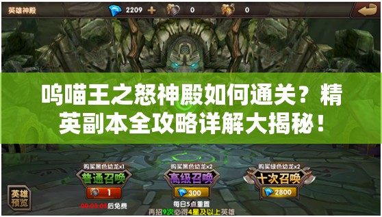 呜喵王之怒神殿如何通关？精英副本全攻略详解大揭秘！
