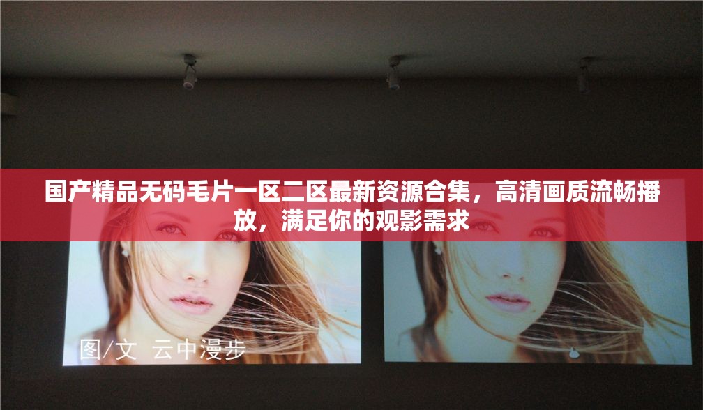 国产精品无码毛片一区二区最新资源合集，高清画质流畅播放，满足你的观影需求