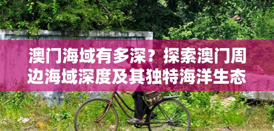 澳门海域有多深？探索澳门周边海域深度及其独特海洋生态环境