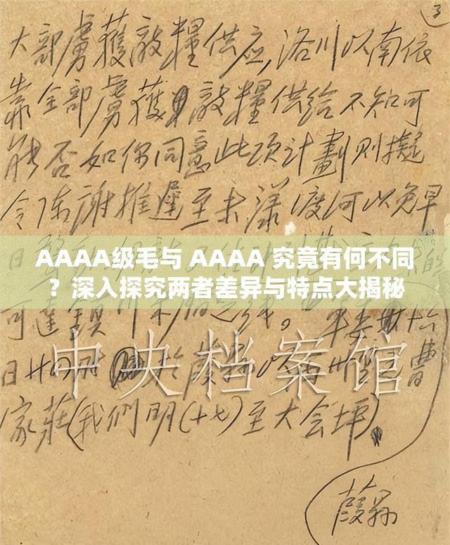 AAAA级毛与 AAAA 究竟有何不同？深入探究两者差异与特点大揭秘