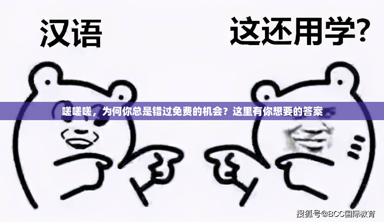 嗟嗟嗟，为何你总是错过免费的机会？这里有你想要的答案