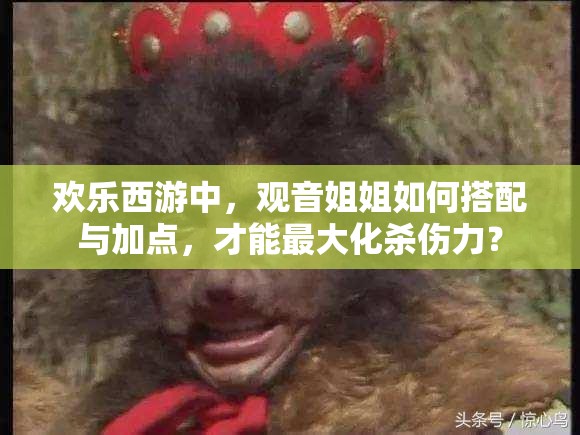欢乐西游中，观音姐姐如何搭配与加点，才能最大化杀伤力？