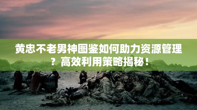 黄忠不老男神图鉴如何助力资源管理？高效利用策略揭秘！