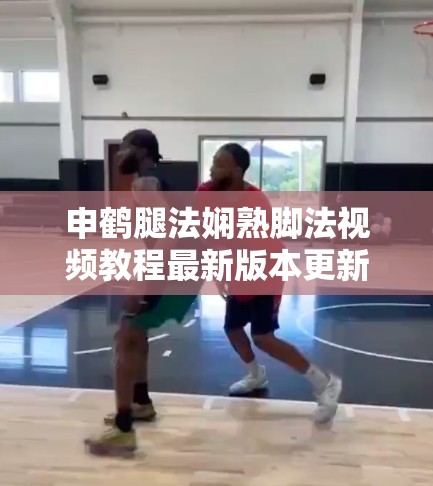 申鹤腿法娴熟脚法视频教程最新版本更新：全面解析高效训练技巧与实战应用