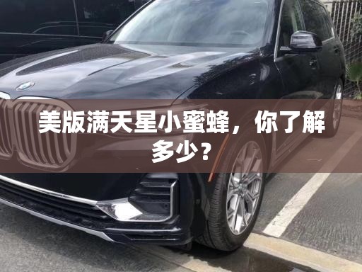 美版满天星小蜜蜂，你了解多少？