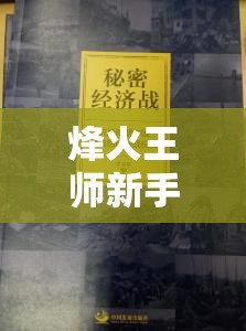 烽火王师新手必看，揭秘如何快速积累经济的神秘演变史？