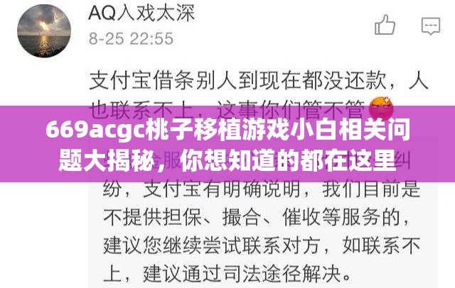 669acgc桃子移植游戏小白相关问题大揭秘，你想知道的都在这里