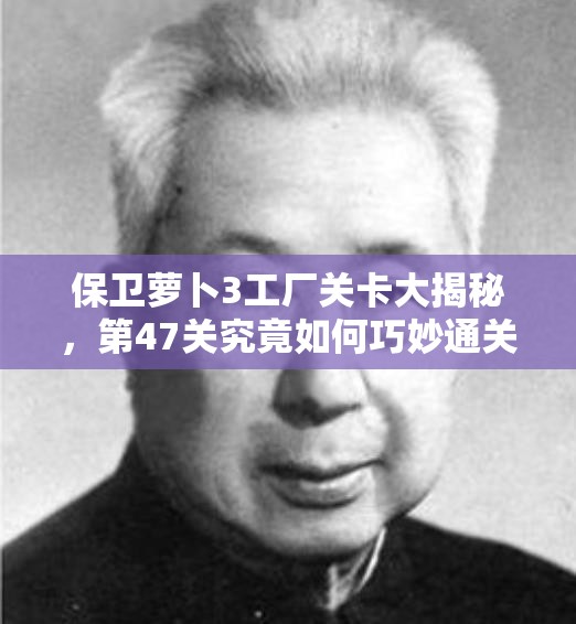 保卫萝卜3工厂关卡大揭秘，第47关究竟如何巧妙通关？