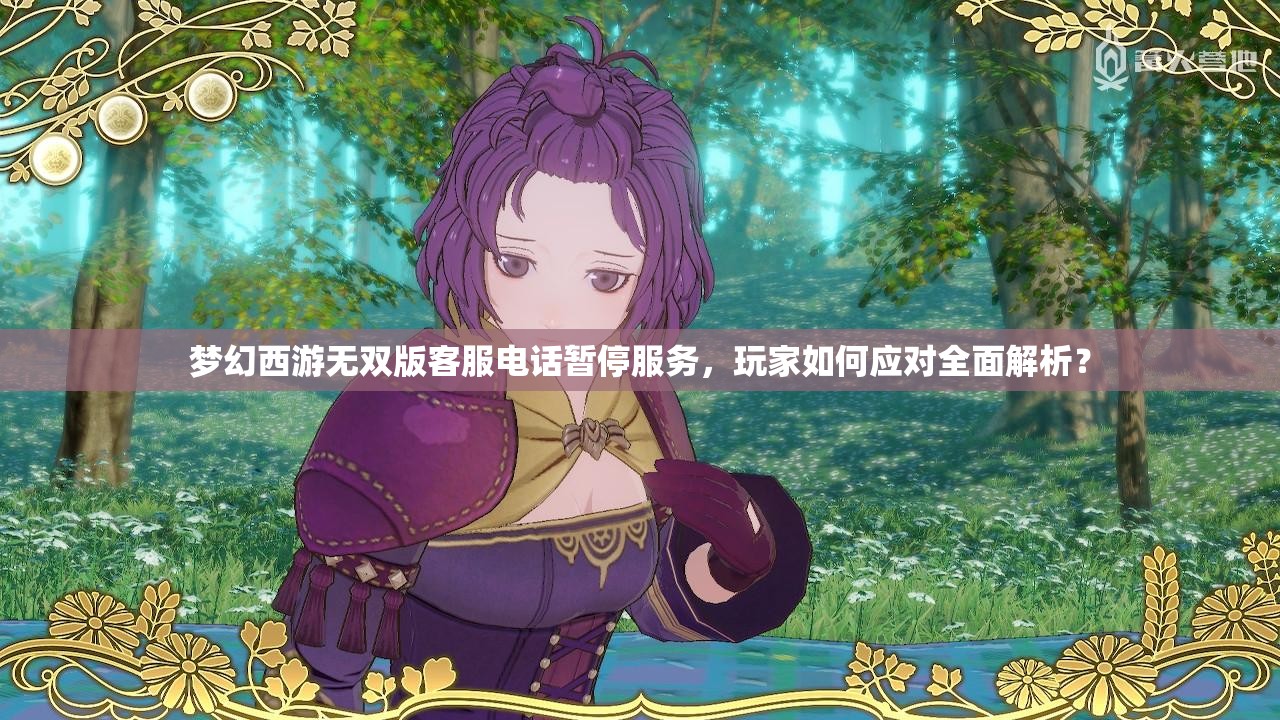 梦幻西游无双版客服电话暂停服务，玩家如何应对全面解析？