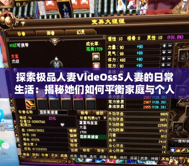 探索极品人妻VideOssS人妻的日常生活：揭秘她们如何平衡家庭与个人魅力