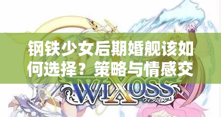 钢铁少女后期婚舰该如何选择？策略与情感交织的难题求解！