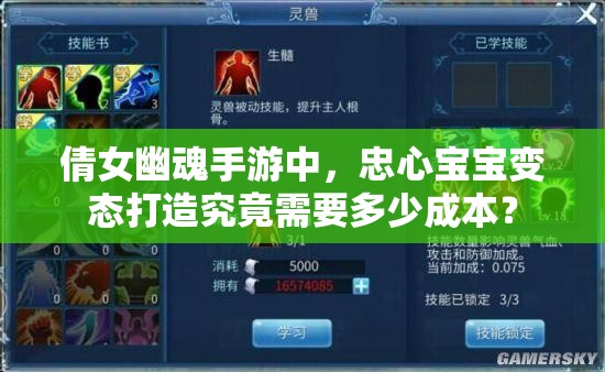 倩女幽魂手游中，忠心宝宝变态打造究竟需要多少成本？