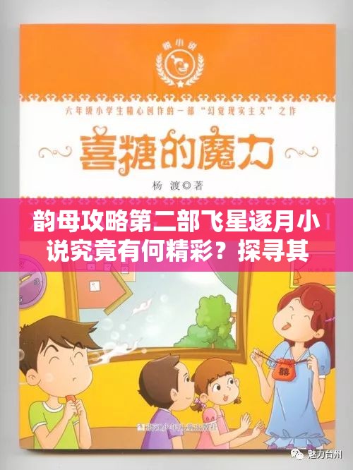 韵母攻略第二部飞星逐月小说究竟有何精彩？探寻其独特魅力与故事走向