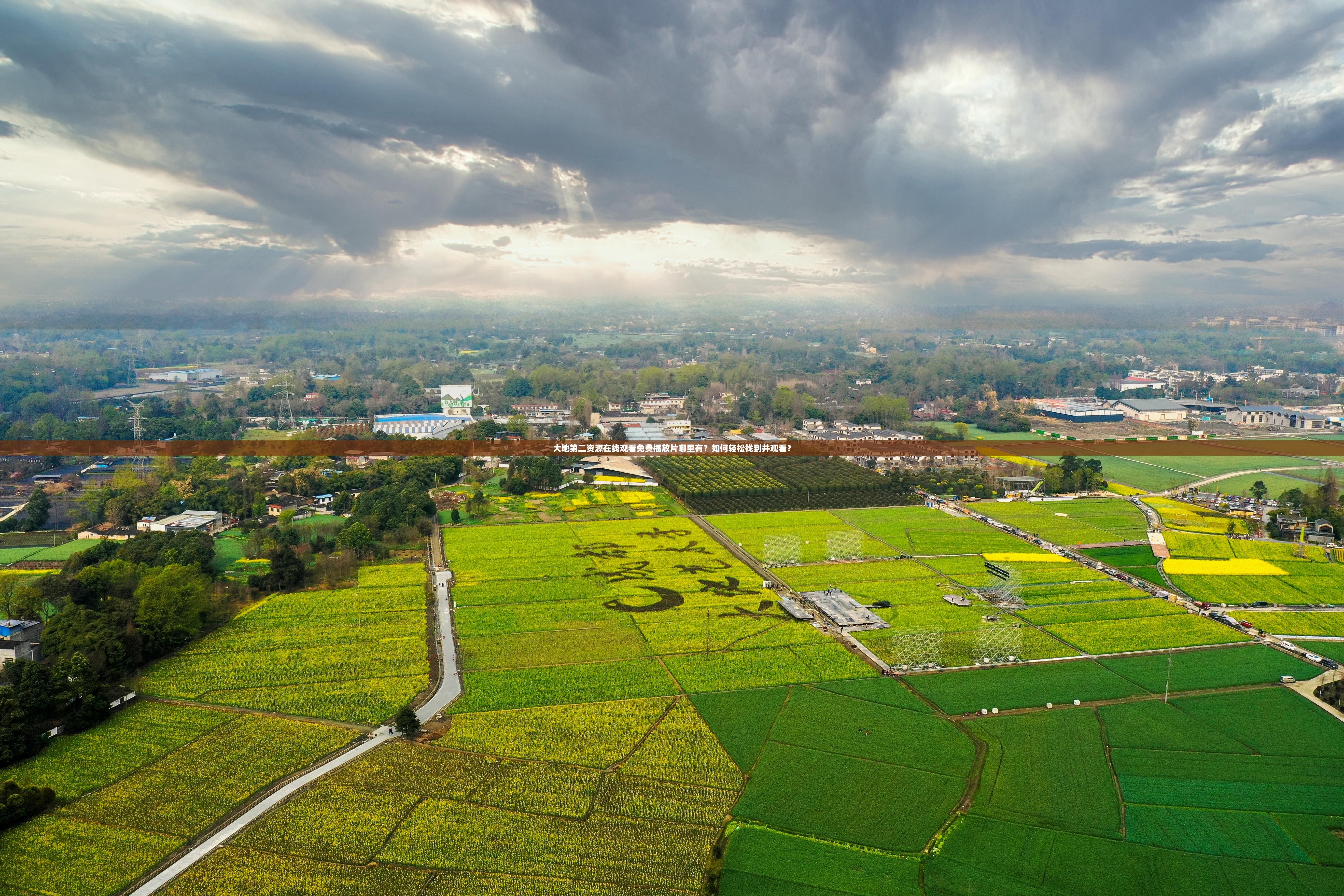 大地第二资源在线观看免费播放片哪里有？如何轻松找到并观看？
