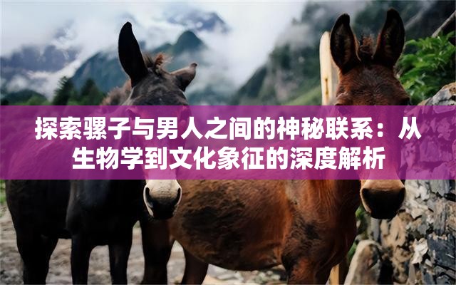 探索骡子与男人之间的神秘联系：从生物学到文化象征的深度解析