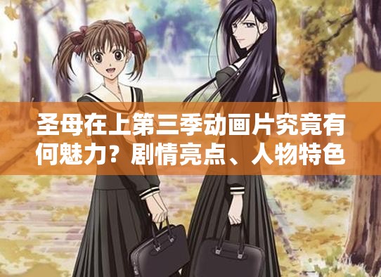圣母在上第三季动画片究竟有何魅力？剧情亮点、人物特色大揭秘