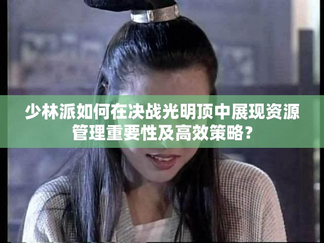 少林派如何在决战光明顶中展现资源管理重要性及高效策略？
