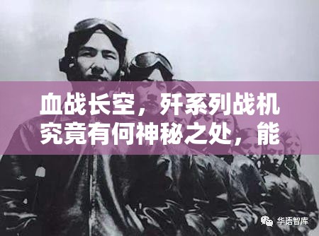 血战长空，歼系列战机究竟有何神秘之处，能否主宰战场？