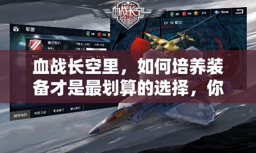 血战长空里，如何培养装备才是最划算的选择，你了解吗？