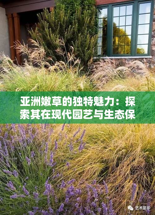 亚洲嫩草的独特魅力：探索其在现代园艺与生态保护中的多重应用与价值