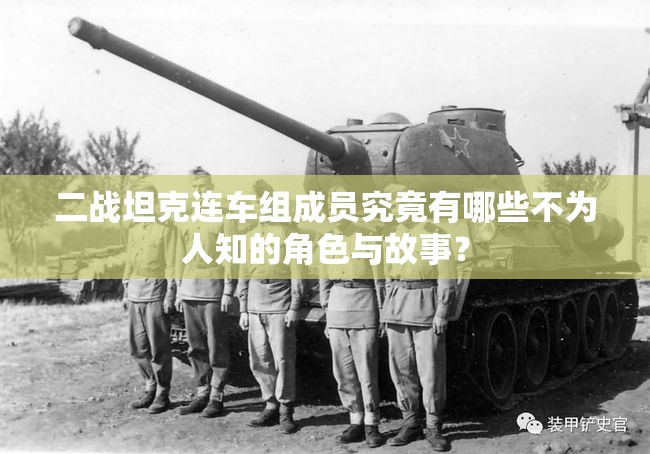 二战坦克连车组成员究竟有哪些不为人知的角色与故事？