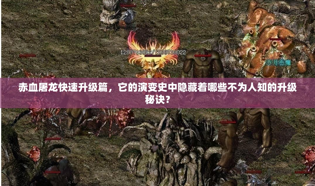 赤血屠龙快速升级篇，它的演变史中隐藏着哪些不为人知的升级秘诀？