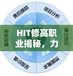 HIT修高职业揭秘，力量真的是决定一切的关键因素吗？