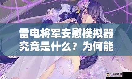 雷电将军安慰模拟器究竟是什么？为何能带来温暖与慰藉？快来一探究竟