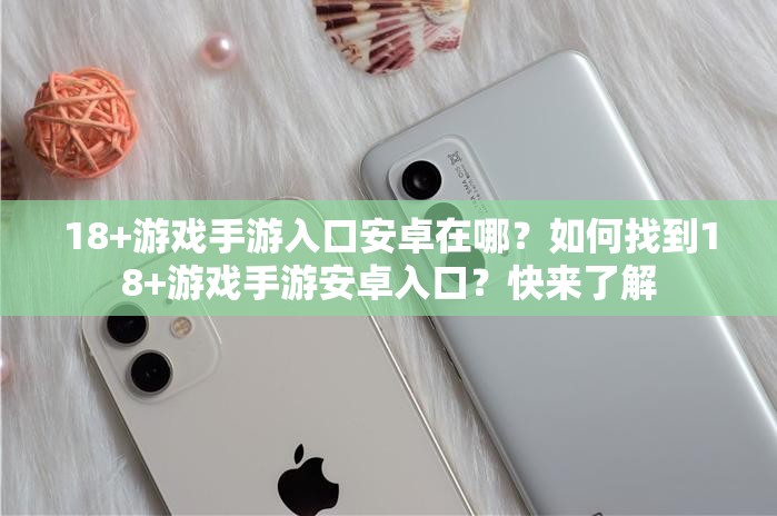 18+游戏手游入口安卓在哪？如何找到18+游戏手游安卓入口？快来了解