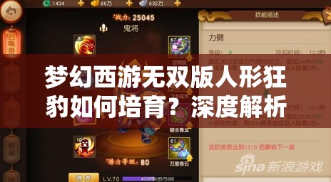 梦幻西游无双版人形狂豹如何培育？深度解析助你打造无敌战宠！