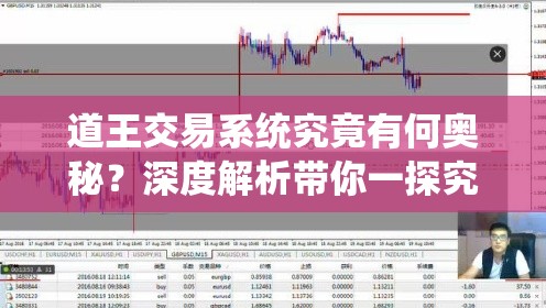 道王交易系统究竟有何奥秘？深度解析带你一探究竟！
