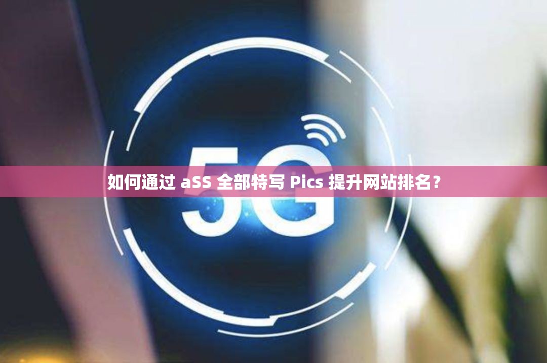 如何通过 aSS 全部特写 Pics 提升网站排名？