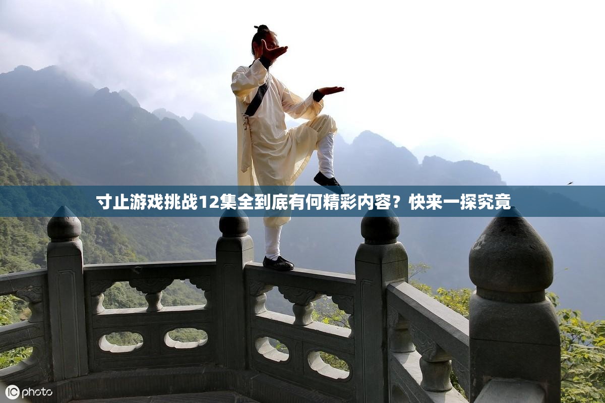 寸止游戏挑战12集全到底有何精彩内容？快来一探究竟