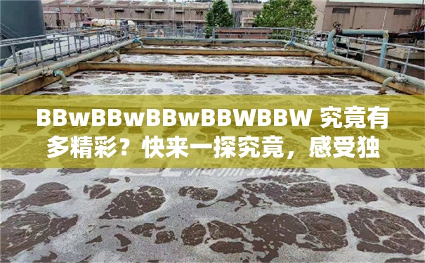 BBwBBwBBwBBWBBW 究竟有多精彩？快来一探究竟，感受独特魅力