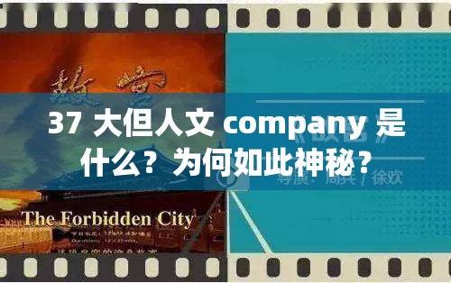 37 大但人文 company 是什么？为何如此神秘？