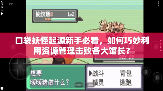 口袋妖怪起源新手必看，如何巧妙利用资源管理击败各大馆长？